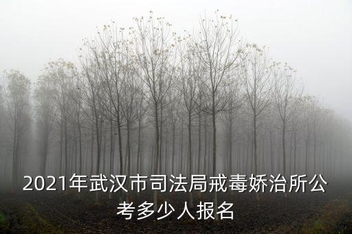 武漢司法局，武漢市司法局法律服務中心是否合法