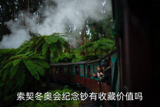 索契冬奧會(huì)紀(jì)念鈔有收藏價(jià)值嗎