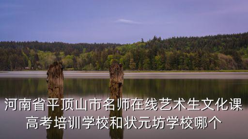 河南省平頂山市名師在線藝術生文化課高考培訓學校和狀元坊學校哪個