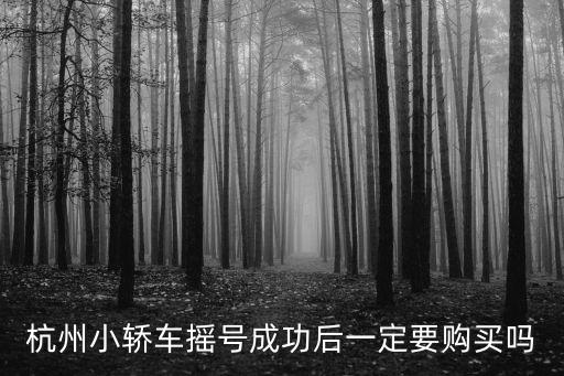 杭州小轎車搖號成功后一定要購買嗎