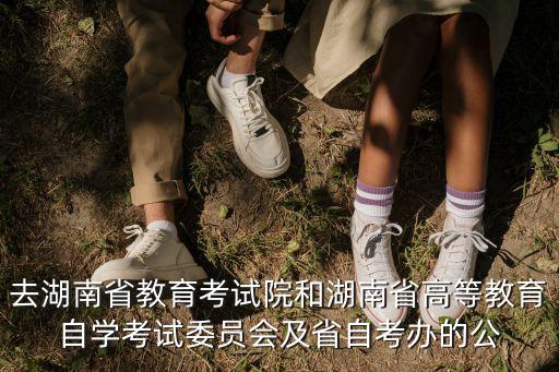 去湖南省教育考試院和湖南省高等教育自學考試委員會及省自考辦的公