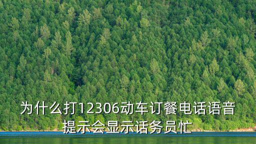 為什么打12306動車訂餐電話語音提示會顯示話務員忙