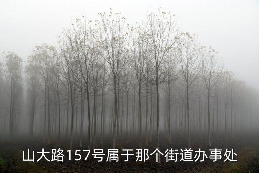 山大路157號屬于那個街道辦事處