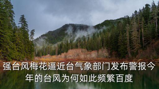 今年臺風，今年臺風狀況