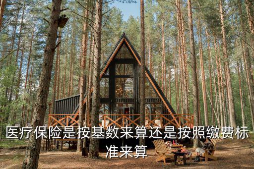 醫療保險是按基數來算還是按照繳費標準來算