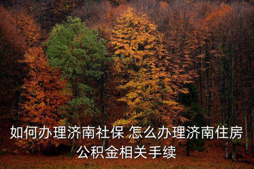 如何辦理濟南社保 怎么辦理濟南住房公積金相關手續