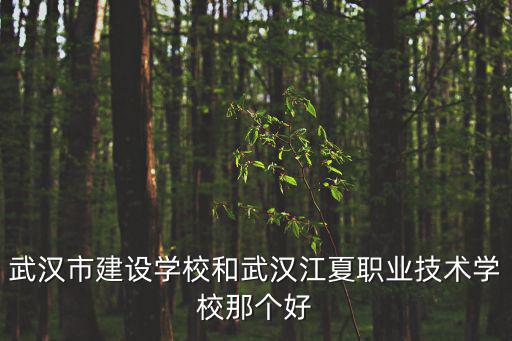 武漢市建設學校和武漢江夏職業技術學校那個好