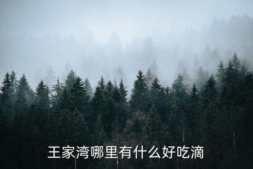 王家灣哪里有什么好吃滴