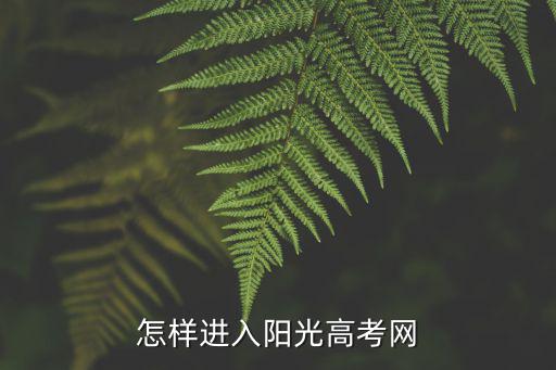 怎樣進入陽光高考網