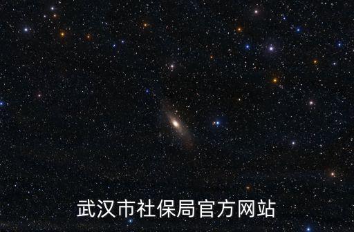 武漢市社保局官方網(wǎng)站