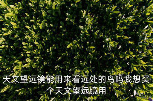 天文望遠鏡能用來看遠處的鳥嗎我想買個天文望遠鏡用