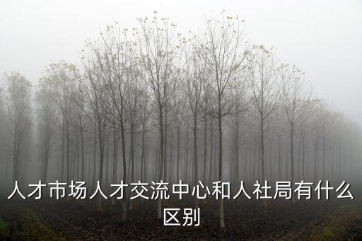 人才交流服務中心，咸陽市人才交流服務中心的詳細地址
