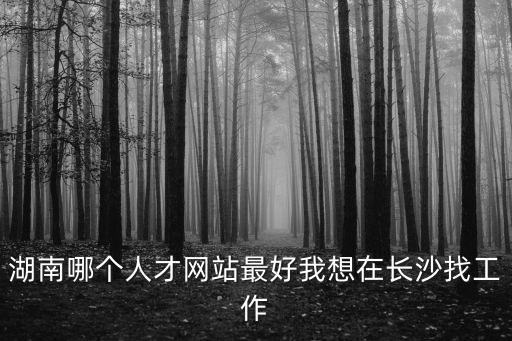 湖南哪個人才網站最好我想在長沙找工作