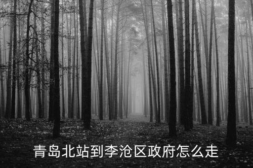 青島北站到李滄區政府怎么走