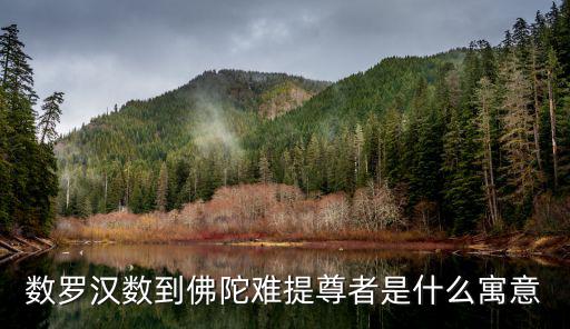數羅漢數到佛陀難提尊者是什么寓意