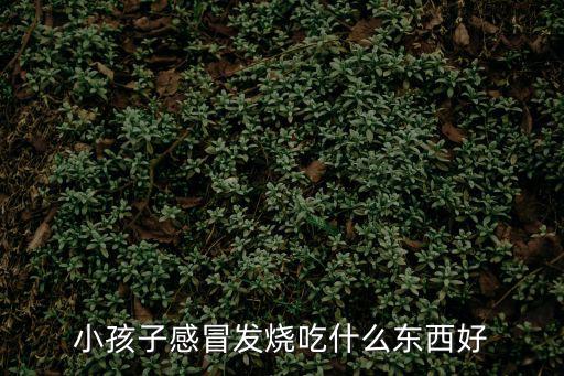 小孩子感冒發(fā)燒吃什么東西好