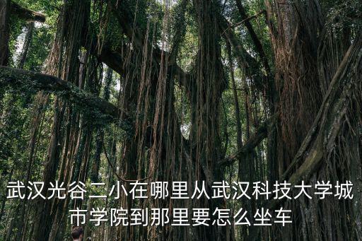 武漢光谷二小在哪里從武漢科技大學城市學院到那里要怎么坐車
