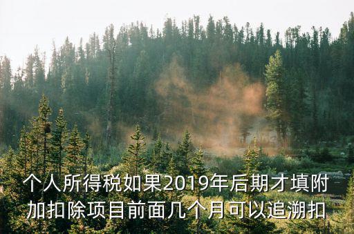 個人所得稅如果2019年后期才填附加扣除項目前面幾個月可以追溯扣