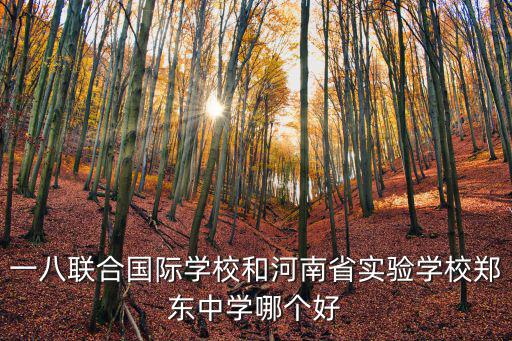 一八聯(lián)合國際學(xué)校，一八聯(lián)合國際學(xué)校和河南省實驗學(xué)校鄭東中學(xué)哪個好