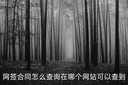 網簽合同怎么查詢在哪個網站可以查到