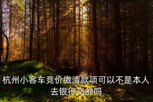 杭州小客車競(jìng)價(jià)繳清款項(xiàng)可以不是本人去銀行交的嗎