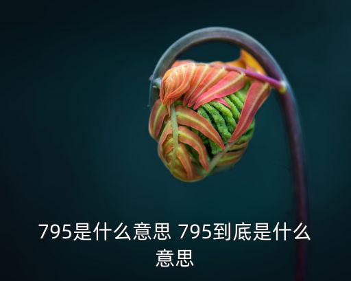 795，在上網(wǎng)時(shí)打開寬帶連接后顯示錯(cuò)誤795是什么意思