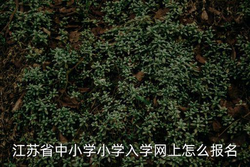 江蘇省中小學小學入學網上怎么報名