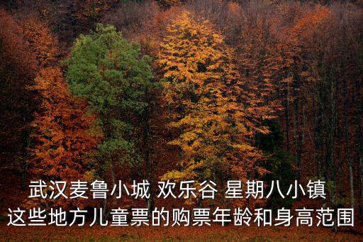 武漢麥魯小城 歡樂谷 星期八小鎮 這些地方兒童票的購票年齡和身高范圍