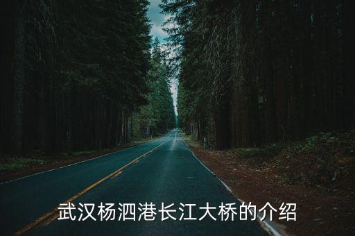 武漢楊泗港長江大橋的介紹