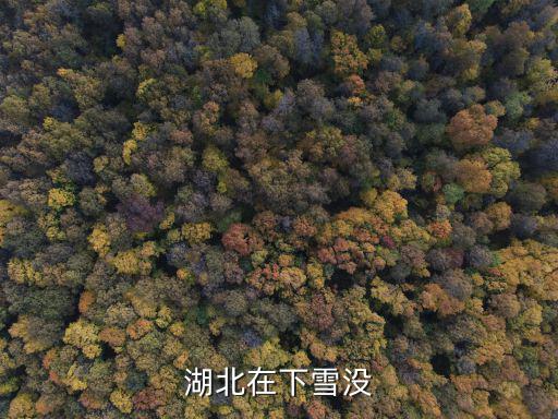 湖北在下雪沒