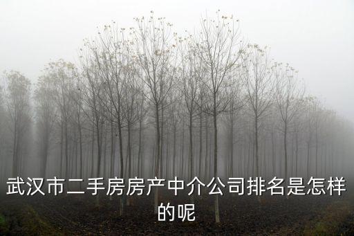 武漢房產中介，武漢江漢路附近的房屋中介公司