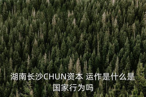 湖南長沙CHUN資本 運作是什么是國家行為嗎