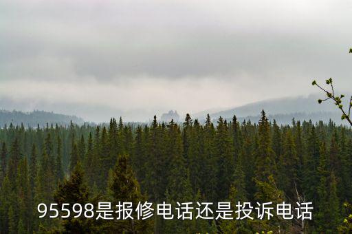 95598是報修電話還是投訴電話