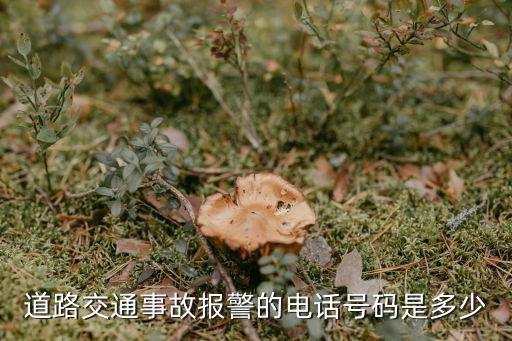 交警電話，交通事故報(bào)警電話是什么