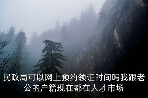 民政局可以網(wǎng)上預約領證時間嗎我跟老公的戶籍現(xiàn)在都在人才市場