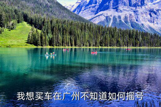 廣州小車搖號(hào)申請(qǐng)官網(wǎng)，廣州有多少公司申請(qǐng)搖號(hào)