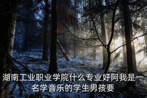 湖南工業職業學院什么專業好阿我是一名學音樂的學生男孩要