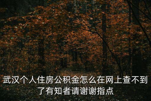 武漢個人住房公積金怎么在網上查不到了有知者請謝謝指點