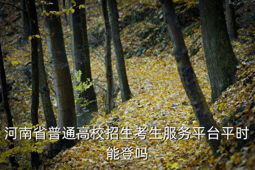 河南省普通高校招生考生服務平臺平時能登嗎