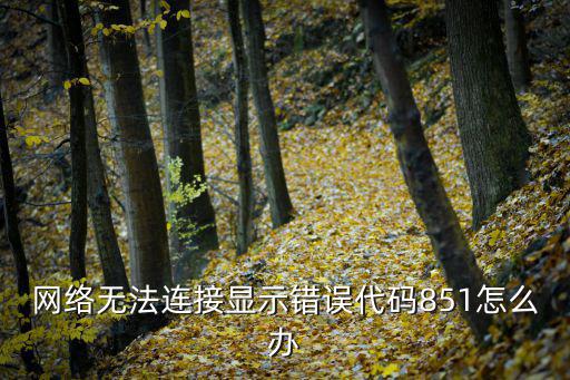 網絡無法連接顯示錯誤代碼851怎么辦