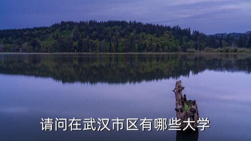 請問在武漢市區有哪些大學