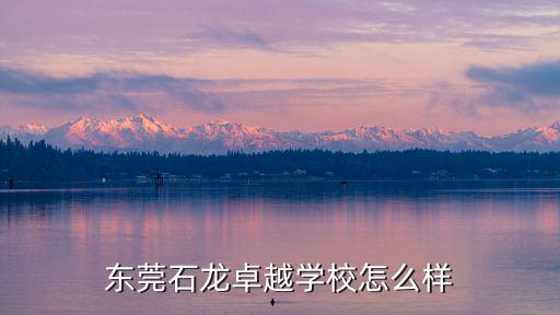 卓越學(xué)校，東莞石龍卓越學(xué)校怎么樣