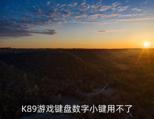 K89游戲鍵盤數(shù)字小鍵用不了