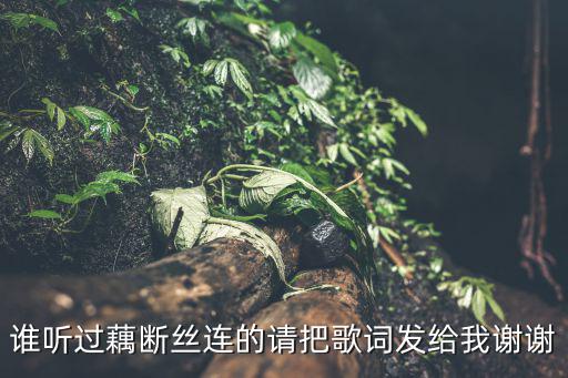 誰聽過藕斷絲連的請把歌詞發給我謝謝