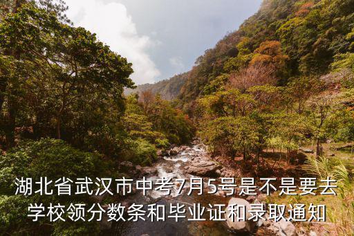 湖北省武漢市中考7月5號是不是要去學校領分數條和畢業證和錄取通知
