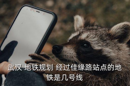 武漢 地鐵規劃 經過佳緣路站點的地鐵是幾號線