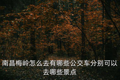 南昌梅嶺怎么去有哪些公交車分別可以去哪些景點
