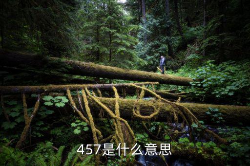 457是什么意思