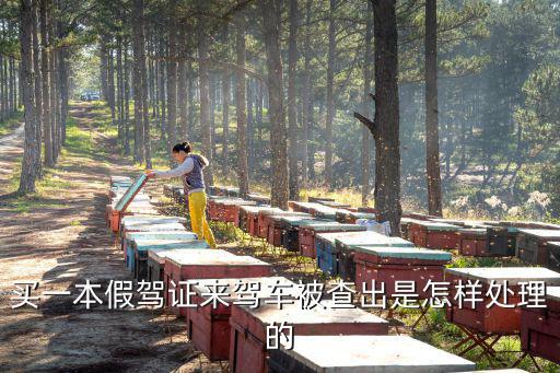 買一本假駕證來(lái)駕車被查出是怎樣處理的