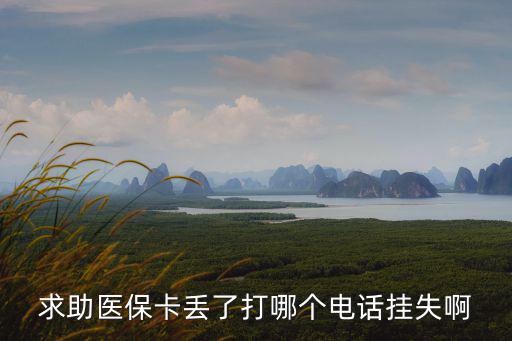 社?？⊕焓щ娫?，求助醫保卡丟了打哪個電話掛失啊